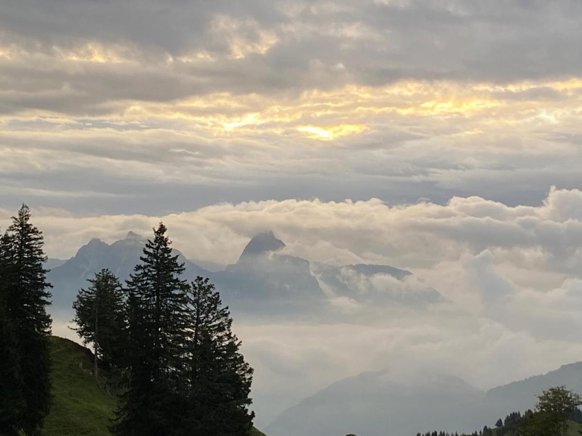 Rigi-Burggeist Alpine Guesthouse Gersau Esterno foto