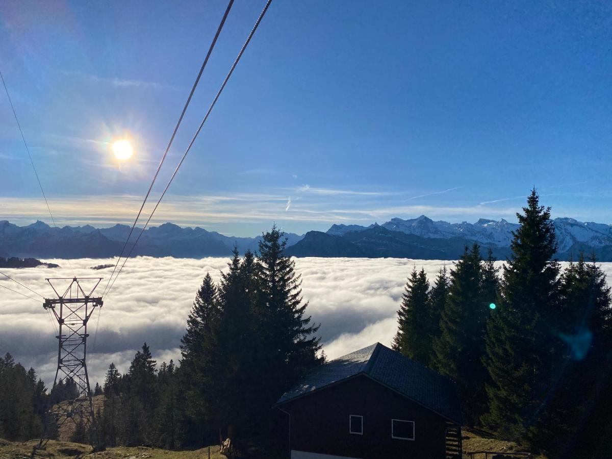 Rigi-Burggeist Alpine Guesthouse Gersau Esterno foto