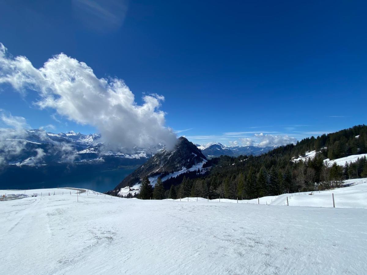 Rigi-Burggeist Alpine Guesthouse Gersau Esterno foto