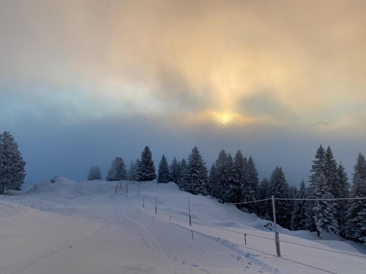 Rigi-Burggeist Alpine Guesthouse Gersau Esterno foto