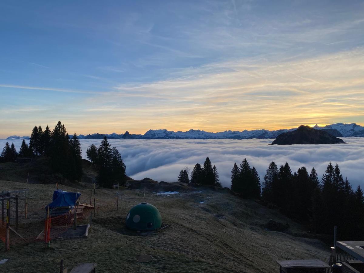 Rigi-Burggeist Alpine Guesthouse Gersau Esterno foto