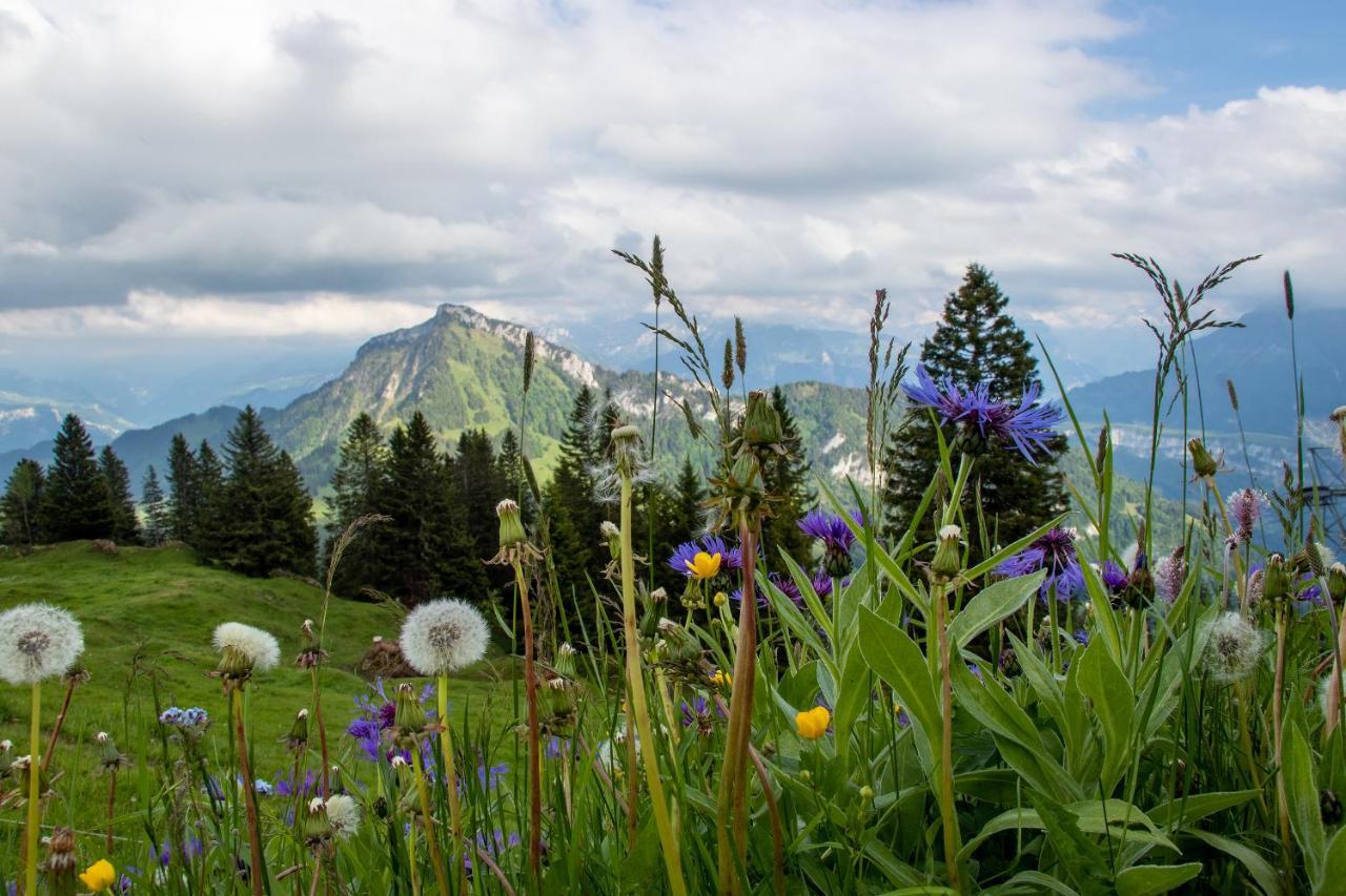 Rigi-Burggeist Alpine Guesthouse Gersau Esterno foto