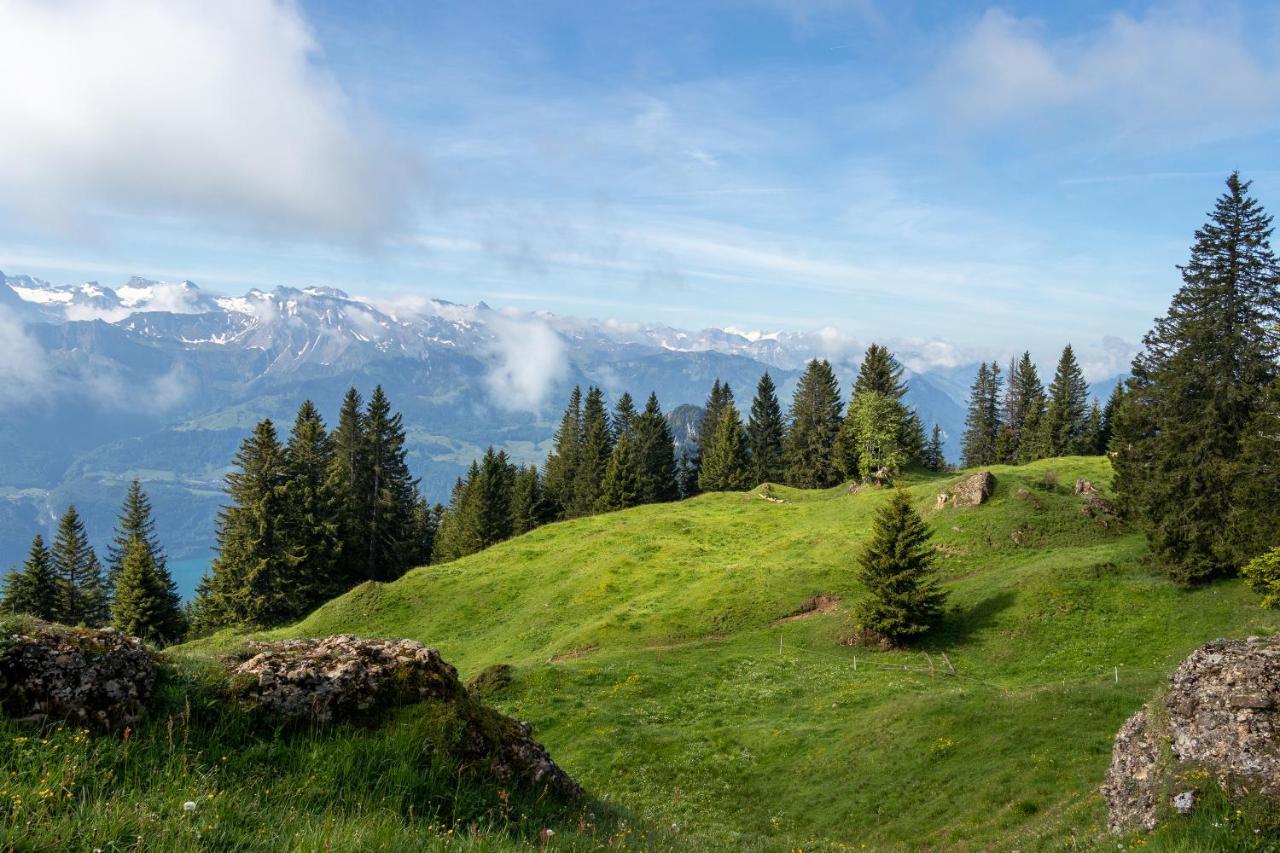 Rigi-Burggeist Alpine Guesthouse Gersau Esterno foto