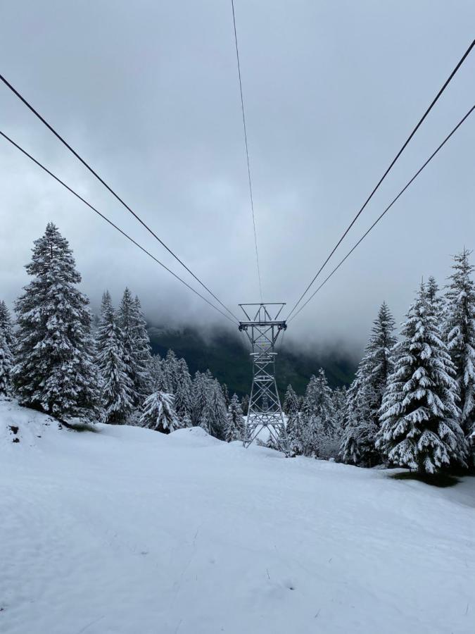 Rigi-Burggeist Alpine Guesthouse Gersau Esterno foto