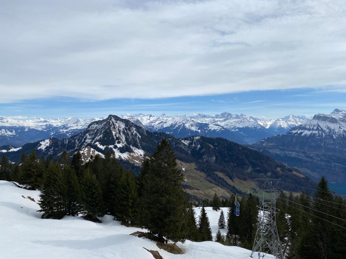 Rigi-Burggeist Alpine Guesthouse Gersau Esterno foto