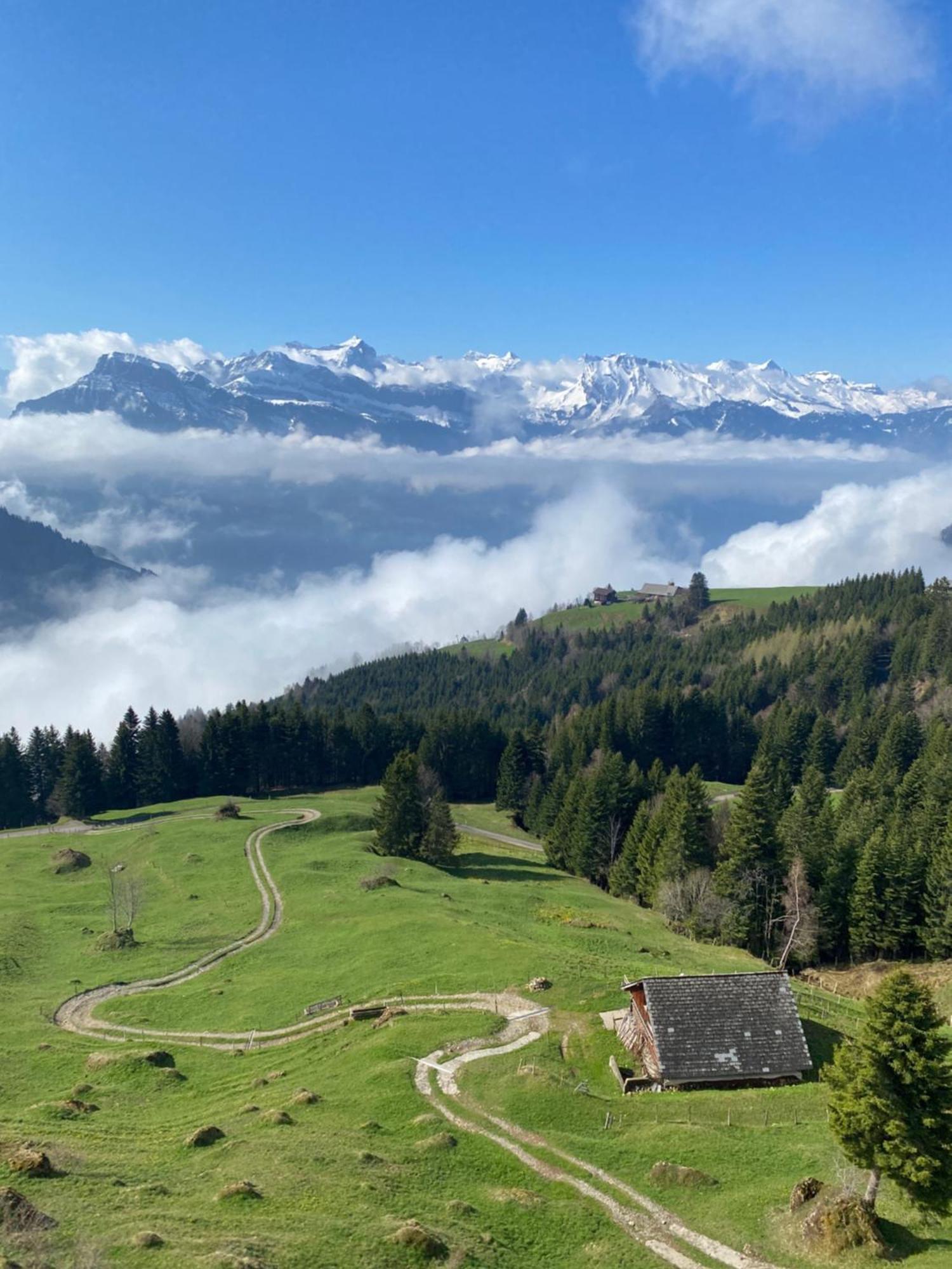 Rigi-Burggeist Alpine Guesthouse Gersau Esterno foto